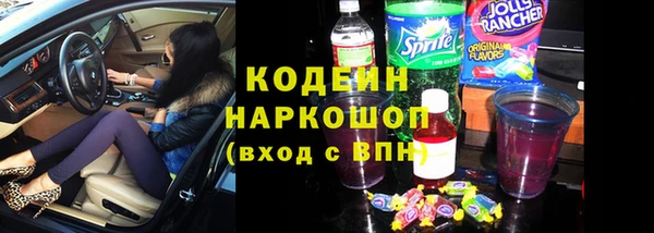 прущие грибы Бикин