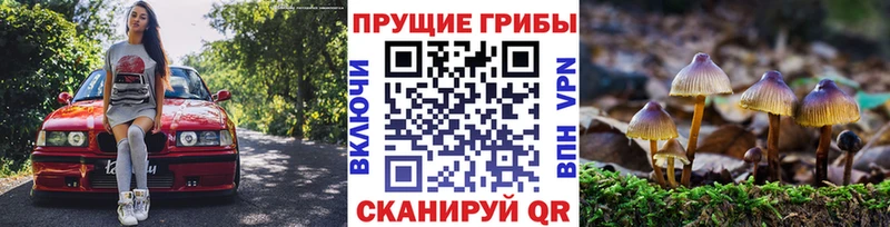 Галлюциногенные грибы GOLDEN TEACHER  Ужур 